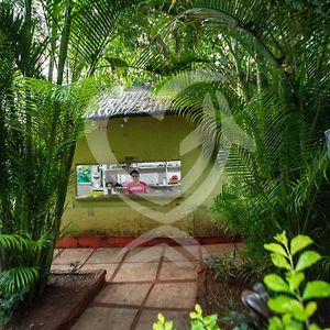 Zulu Land Cottages - Near Curlies Beach Shack And Shiva Valley - Anjuna Beach